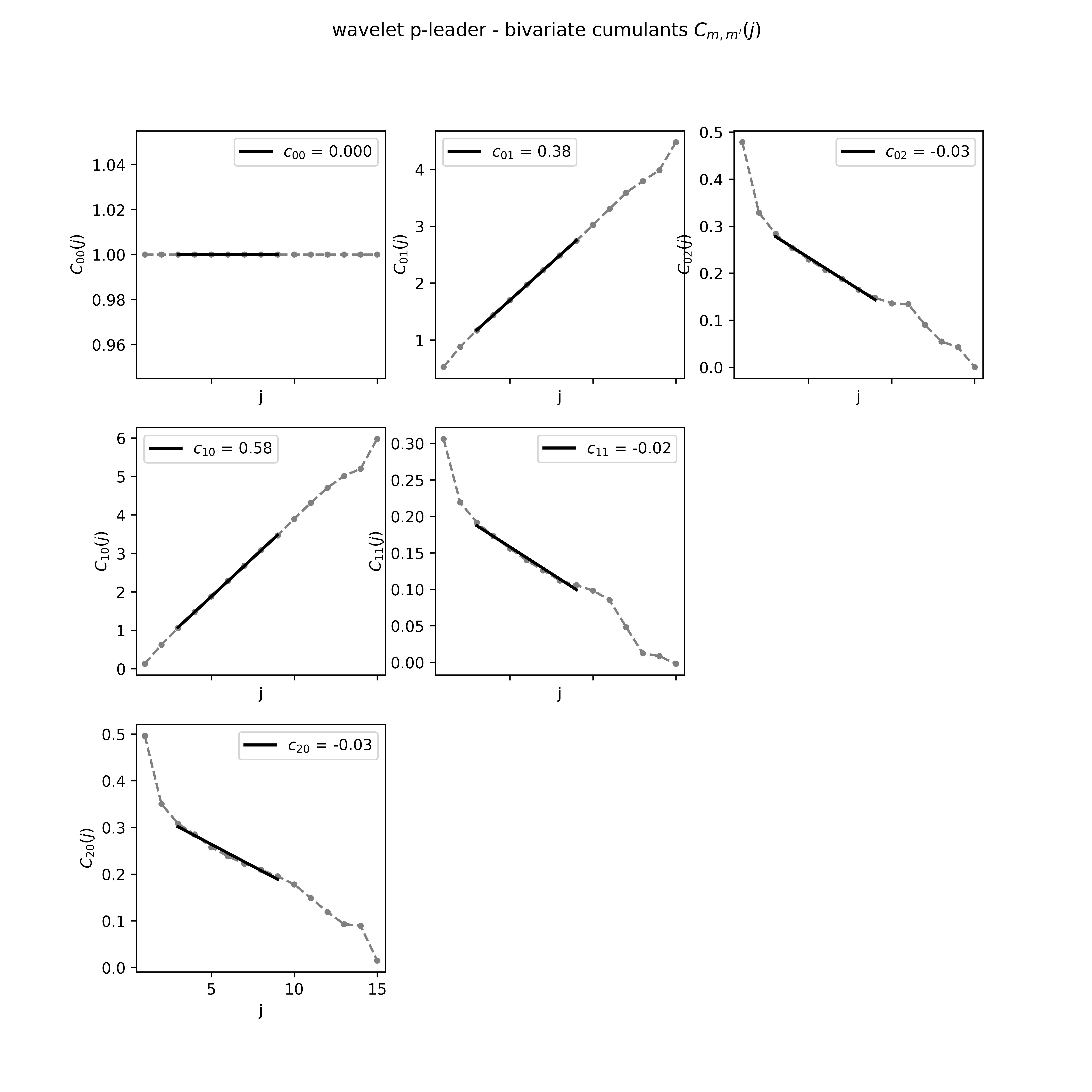 wavelet p-leader - bivariate cumulants $C_{m, m'}(j)$